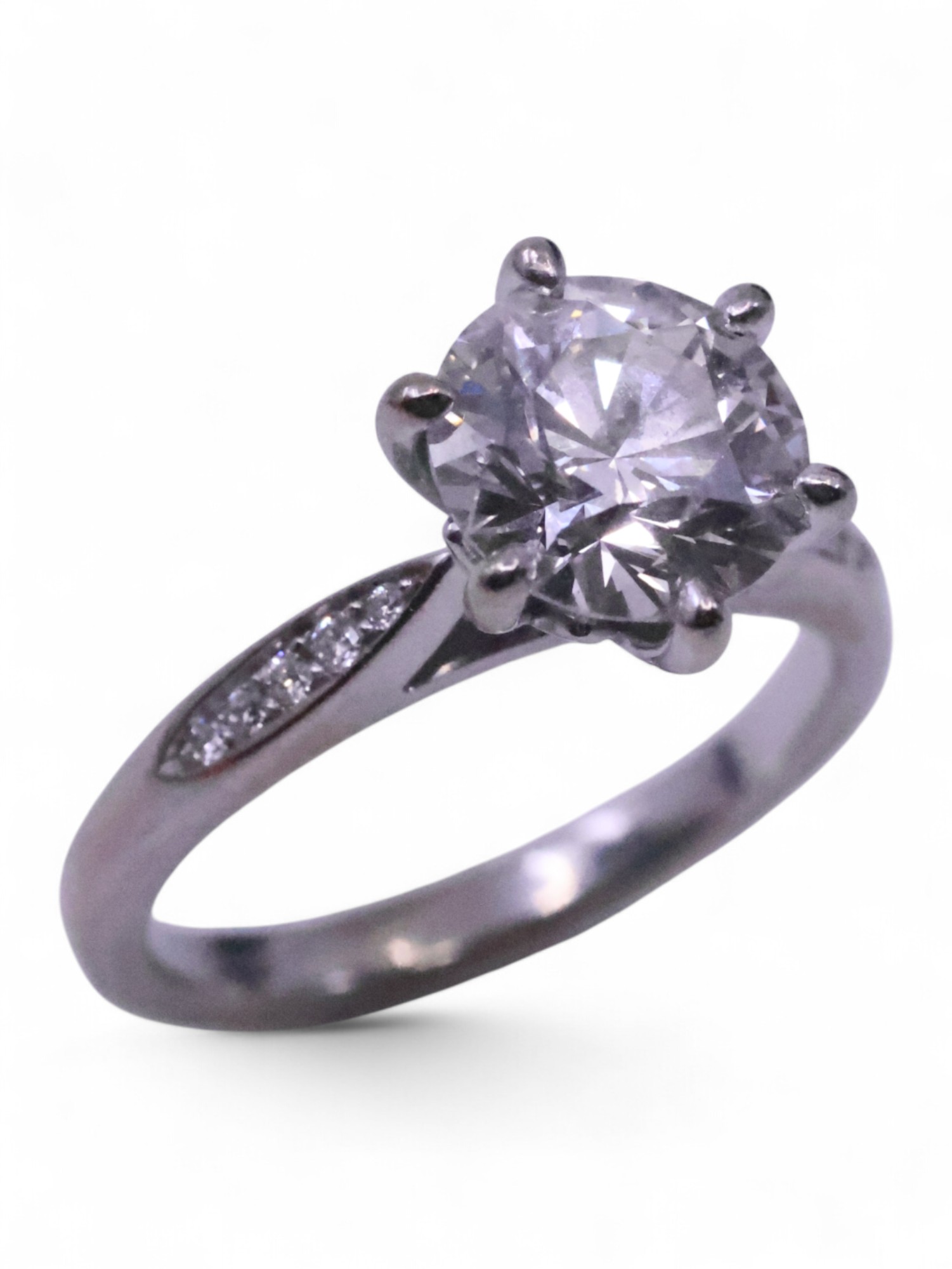 Catalogue now online
